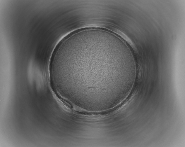 X0000113310980200909211138