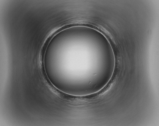 X0000113310981200909211138