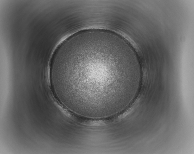 X0000113310982200909211138