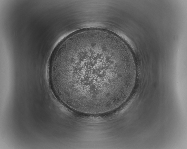 X0000113310983200909211138