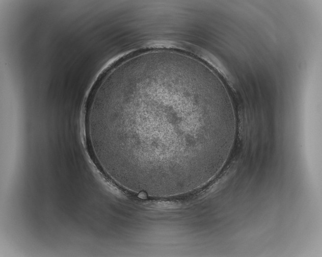 X0000113310984200909211138