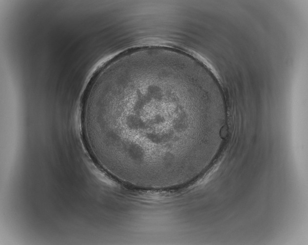 X0000113310987200909211138