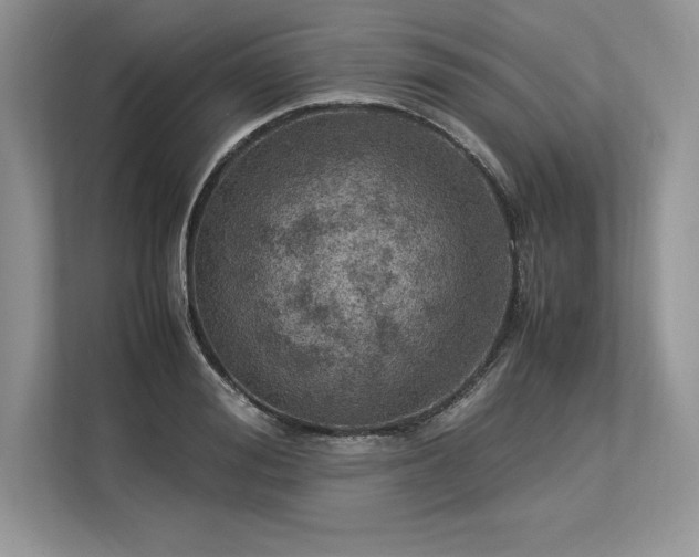 X0000113310988200909211138