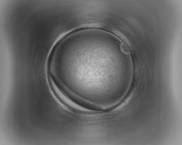 X0000113310989200909211138