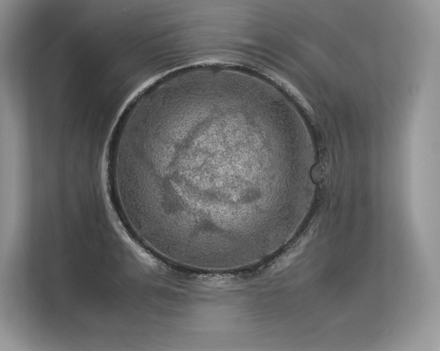 X0000113310991200909211138