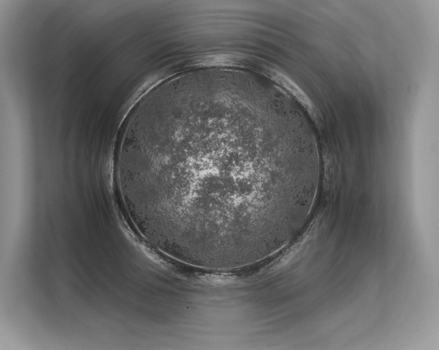 X0000113310994200909211138