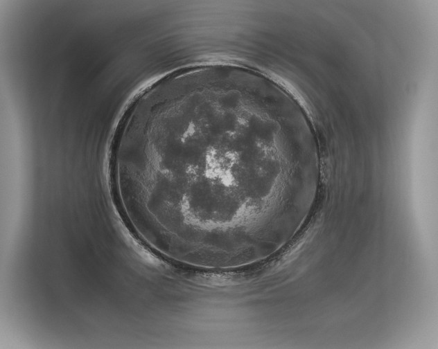 X0000113310995200909211138