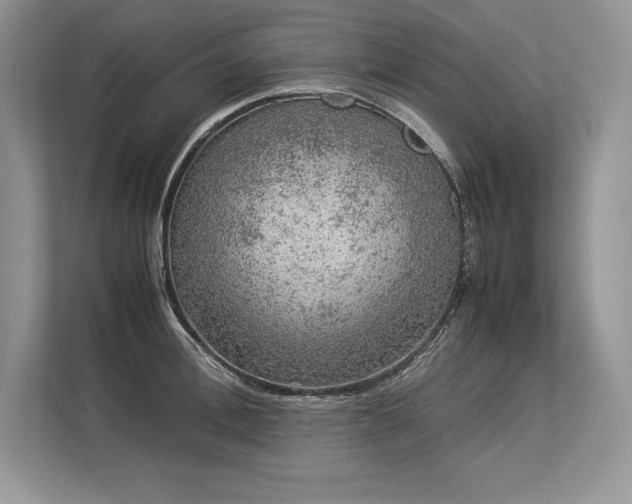 X0000113310996200909211138