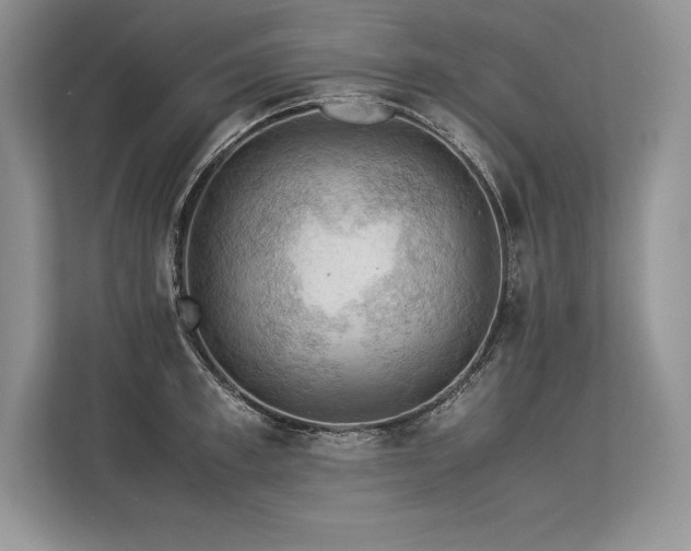 X0000113310997200909211138