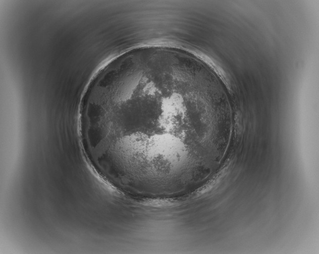 X0000113310998200909211138