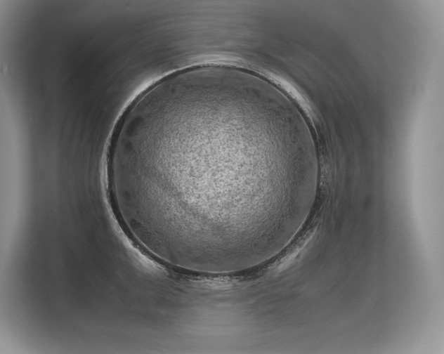 X0000113310999200909211138