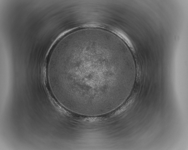 X0000113311000200909211138