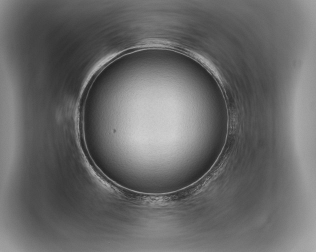 X0000113311003200909211138