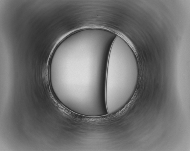 X0000113311004200909211138