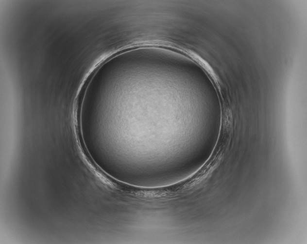 X0000113311005200909211138