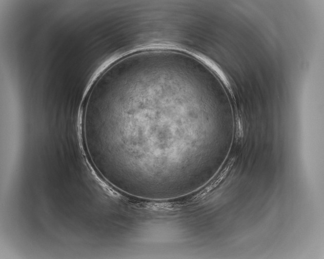 X0000113311006200909211138