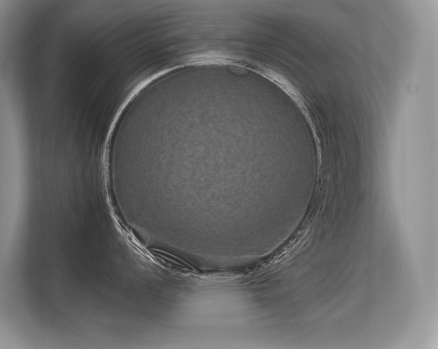 X0000113311008200909211138