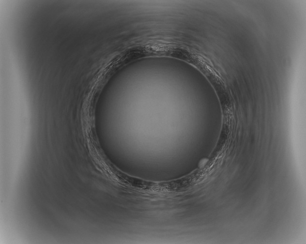 X0000113311009200909211137