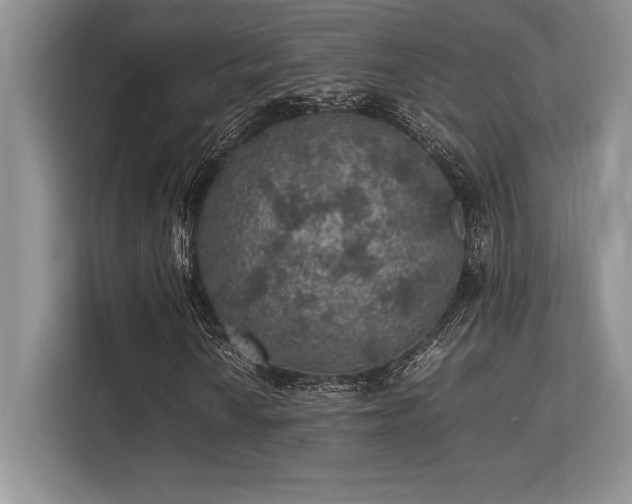 X0000113311010200909211137