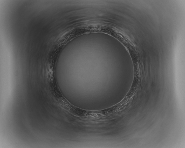 X0000113311013200909211138