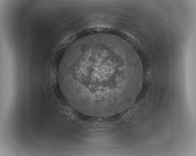 X0000113311014200909211138