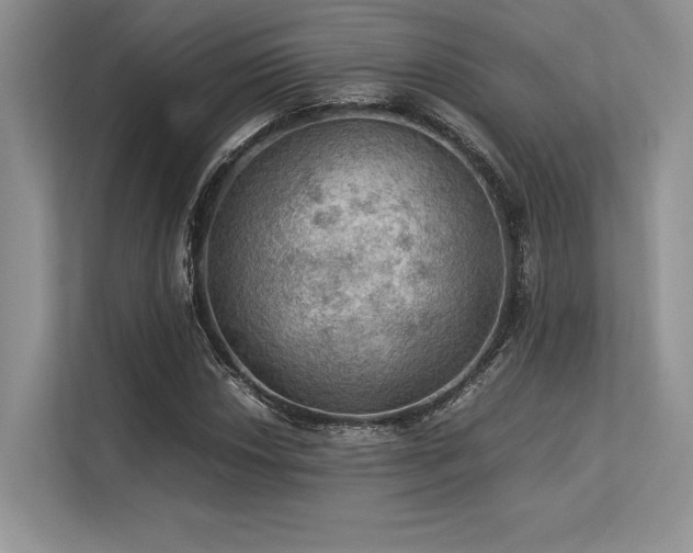 X0000113311018200909211138