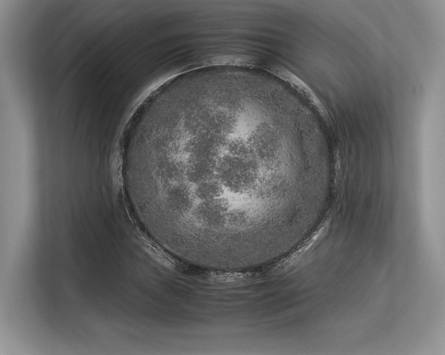 X0000113311019200909211138