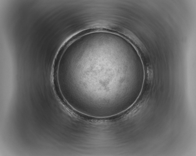 X0000113311020200909211138