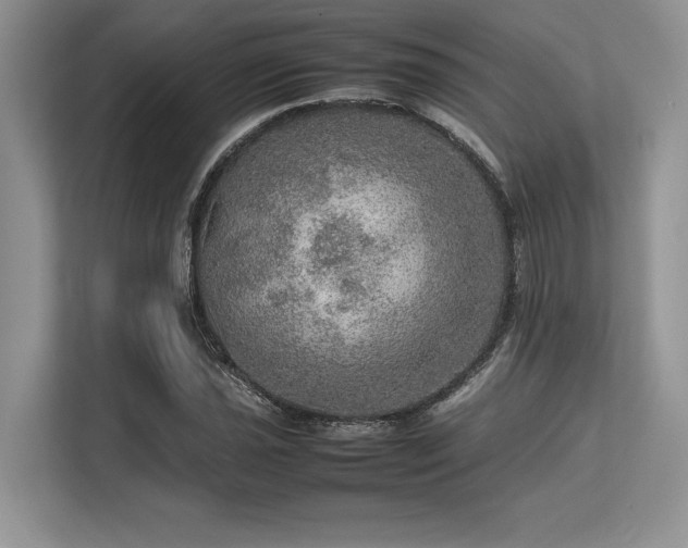 X0000113311021200909211138