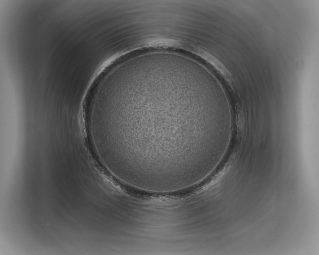 X0000113311022200909211138