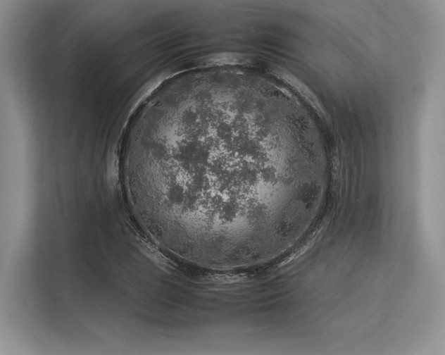 X0000113311023200909211138