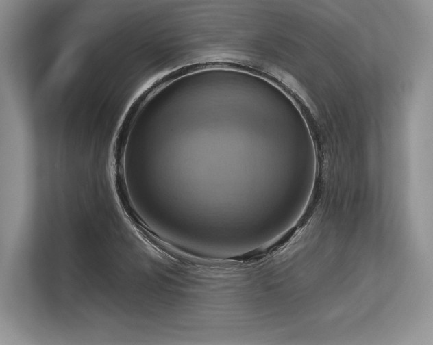 X0000113311024200909211138