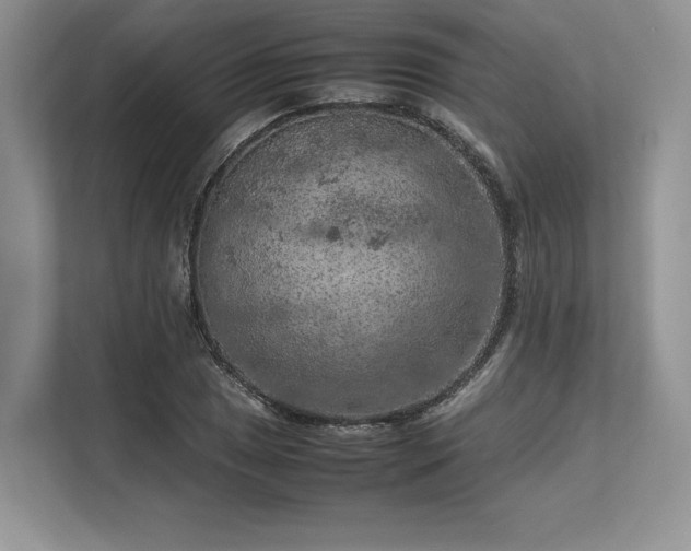 X0000113311025200909211138