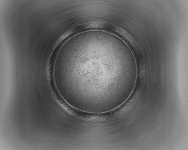 X0000113311026200909211138