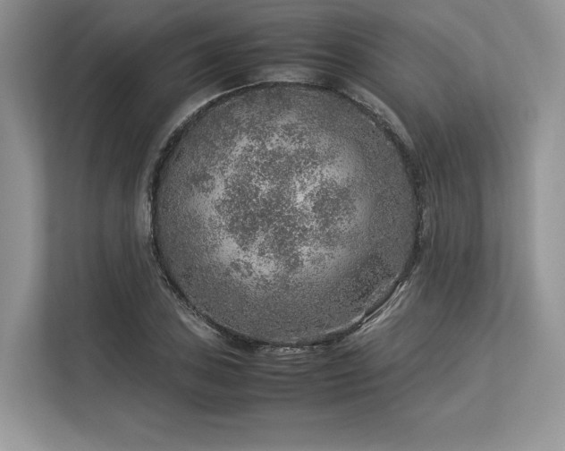 X0000113311027200909211138