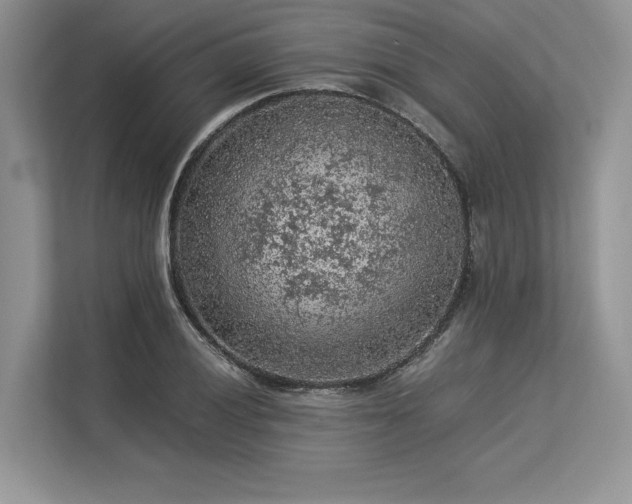 X0000113311028200909211138