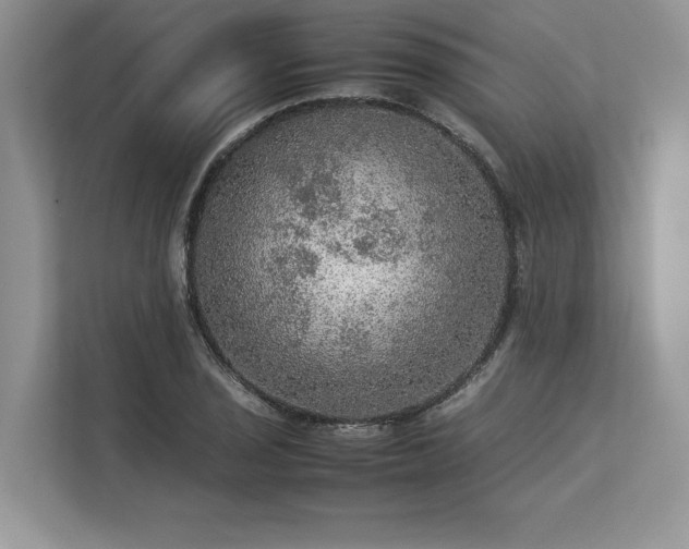 X0000113311029200909211138