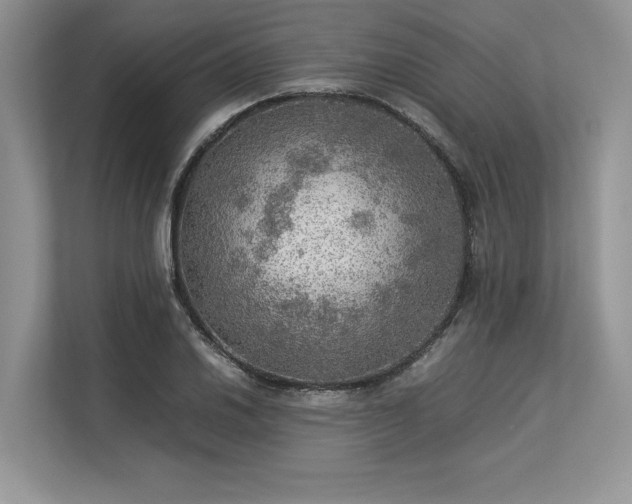 X0000113311030200909211138