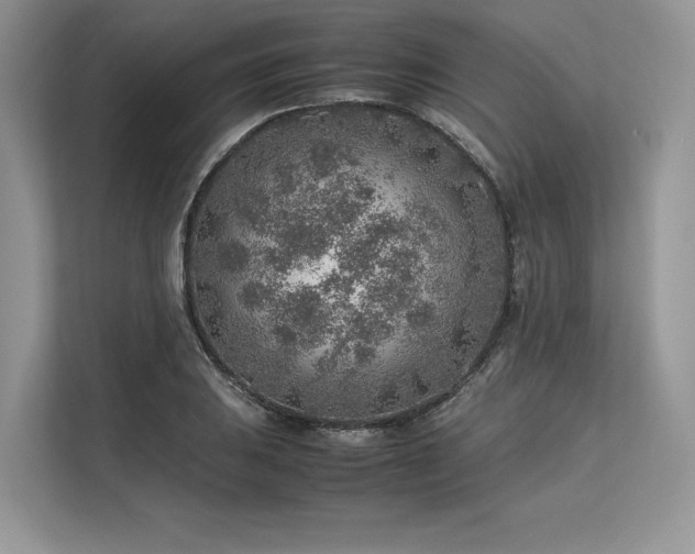 X0000113311031200909211138