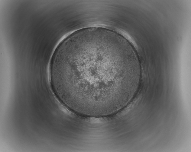 X0000113311032200909211138