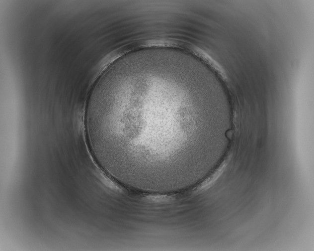 X0000113311033200909211138