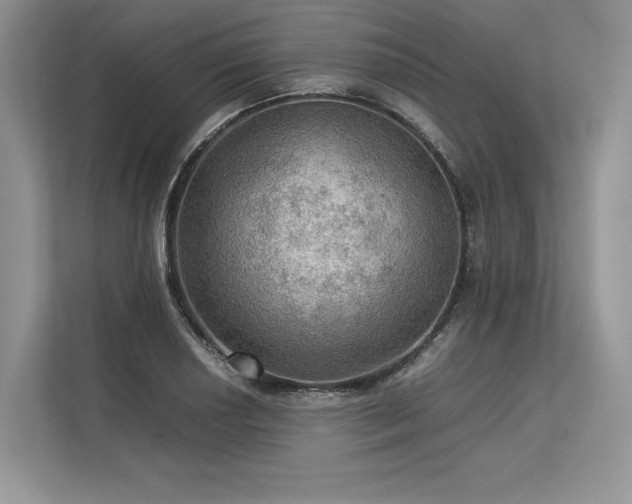 X0000113311034200909211138