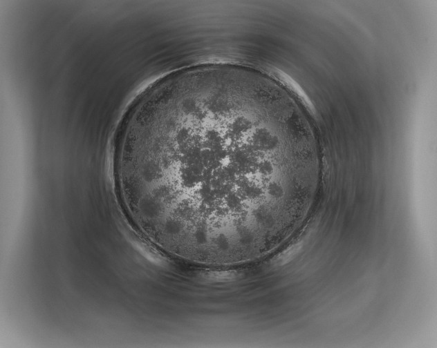 X0000113311035200909211138