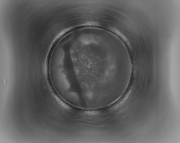 X0000113311037200909211138