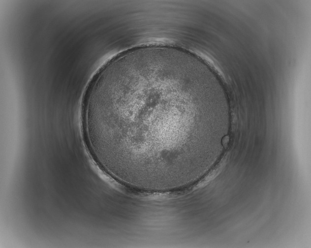 X0000113311038200909211138