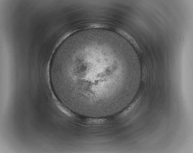 X0000113311039200909211138