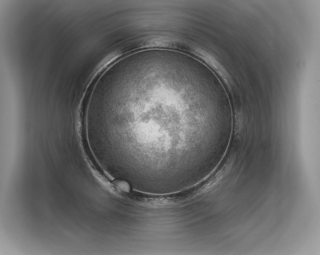 X0000113311042200909211138