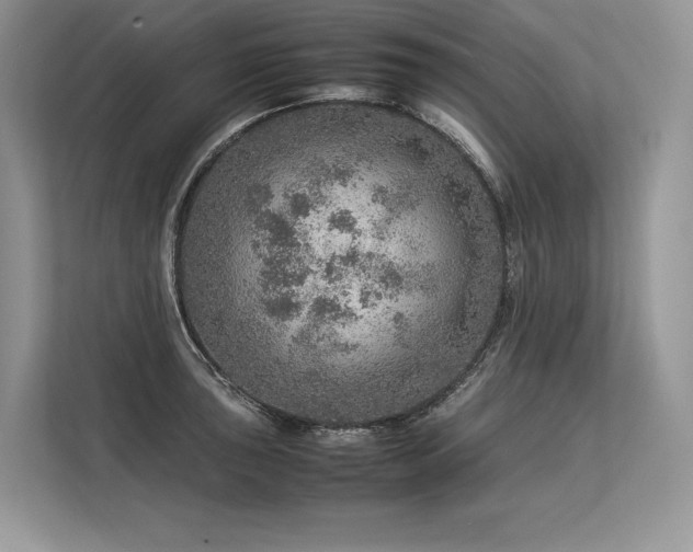 X0000113311043200909211138