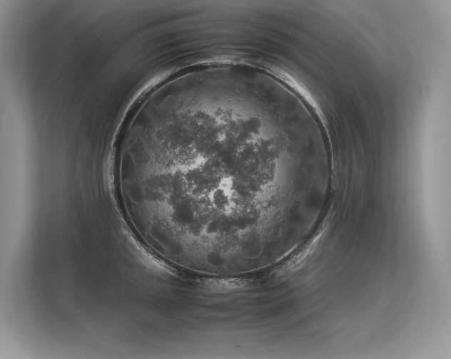 X0000113311045200909211138