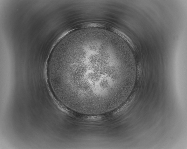 X0000113311047200909211138